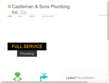 Tablet Screenshot of castlemanplumbing.com